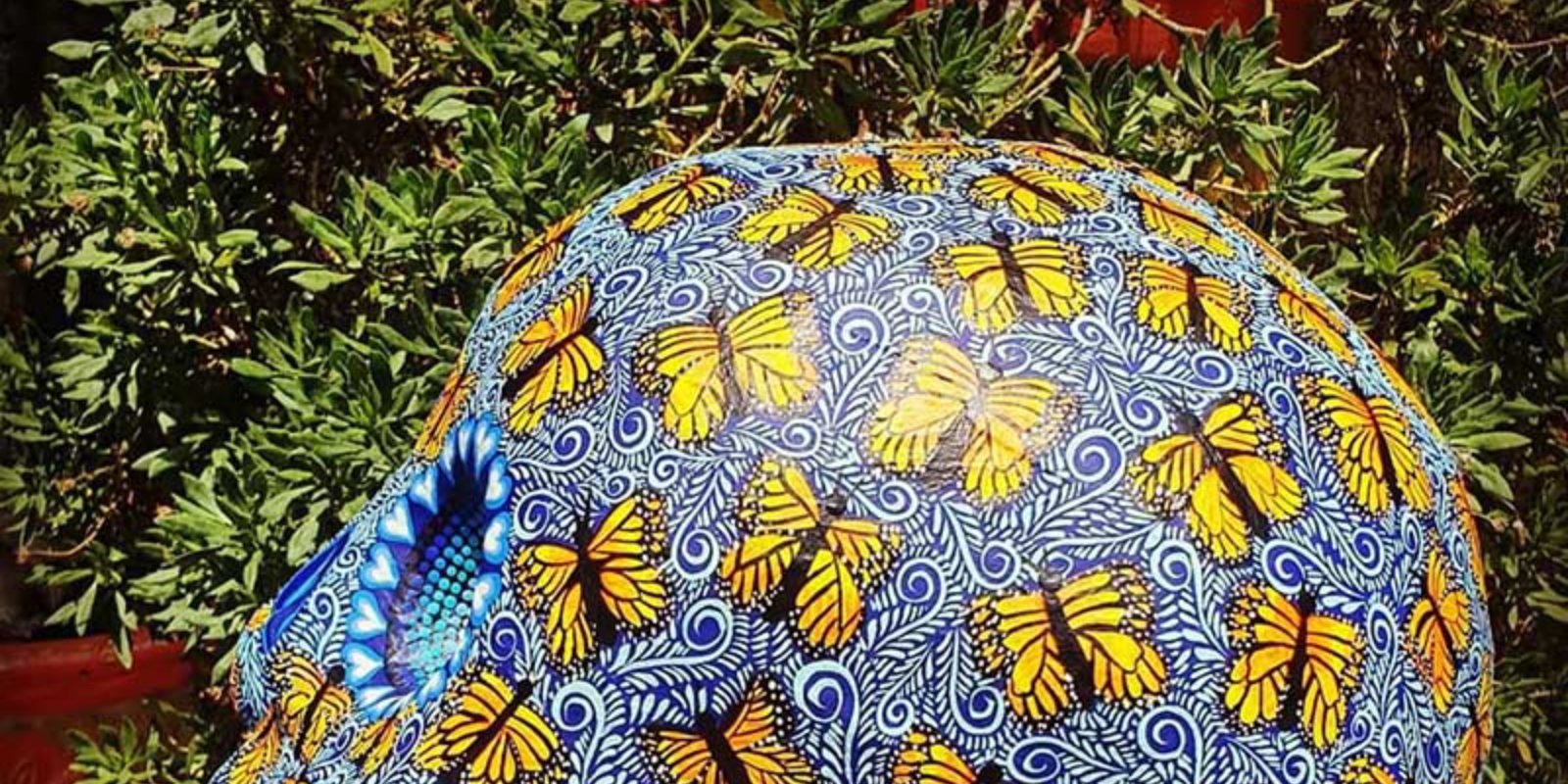 🦋 Une forêt de papillons sur fond de traditions